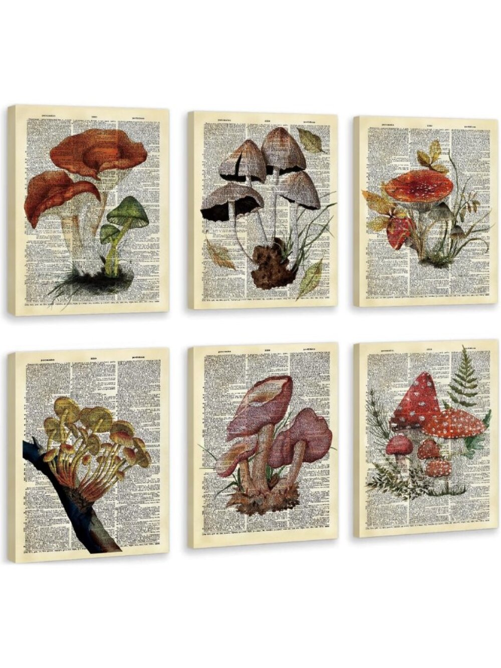Vintage Mushroom Wall Art Set - Framed Nature Prints for Retro Home Decor (8x10)